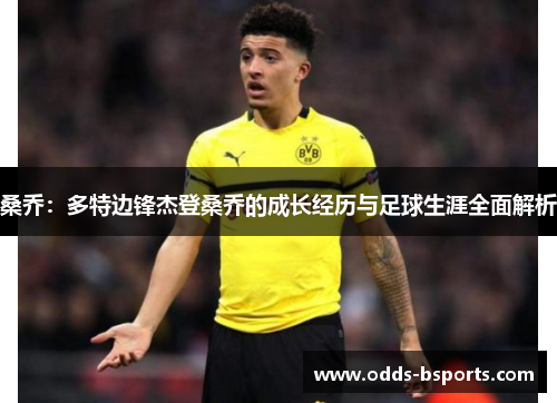 桑乔：多特边锋杰登桑乔的成长经历与足球生涯全面解析