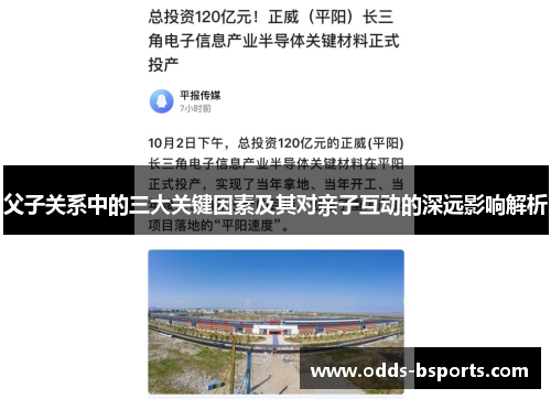 父子关系中的三大关键因素及其对亲子互动的深远影响解析